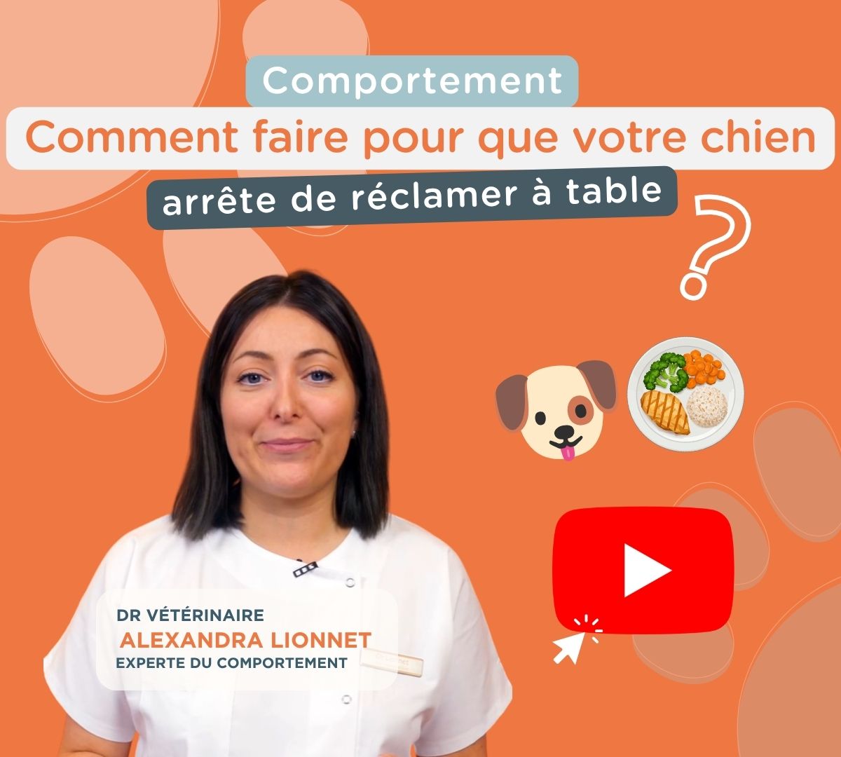 La Dr Alexandra Lionnet, vétérinaire experte en comportement, explique pourquoi les chiens réclament à table et partage des conseils simples pour éviter de renforcer cette habitude. Découvrez les bons réflexes à adopter au quotidien.